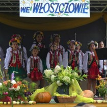 Powiększ zdjęcie Występ zespołu Koniczynki