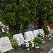 Powiększ zdjęcie Mogiły pomordowanych podczas II wojny światowej