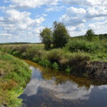 Powiększ zdjęcie 