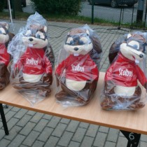 Powiększ zdjęcie 