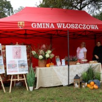 Powiększ zdjęcie Stoisko OSiR Włoszczowa