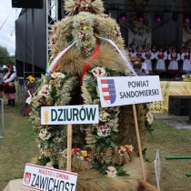 Powiększ zdjęcie 