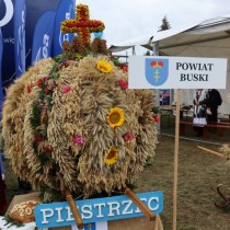 Powiększ zdjęcie 