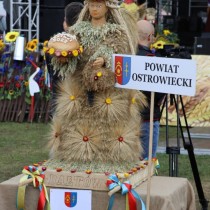 Powiększ zdjęcie 