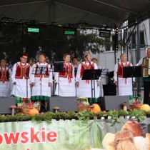 Powiększ zdjęcie 