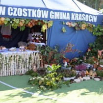 Powiększ zdjęcie Stoisko KGW Czostków.