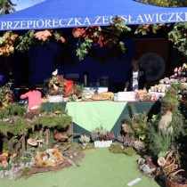 Powiększ zdjęcie Stoisko KGW Przepióreczka z Żelisławiczek