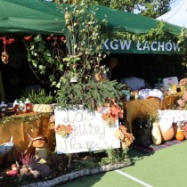 Powiększ zdjęcie Stoisko KGW  Łachów.