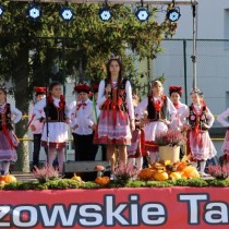Powiększ zdjęcie Wystp dzieci ze Szkoły Podstawowej w Cieślach.