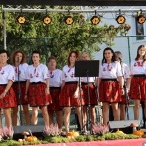 Powiększ zdjęcie Występ Skorkowianek ze Skorkowa.