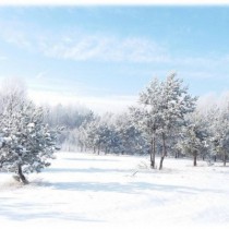 Powiększ zdjęcie Konrad Knap - I miejsce (szkoły podstawowe, klasy 1-3)