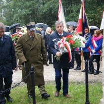 Powiększ zdjęcie 