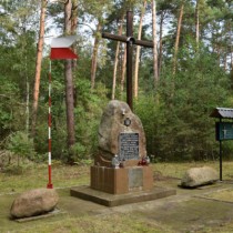 Powiększ zdjęcie 