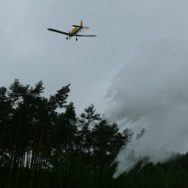Powiększ zdjęcie 