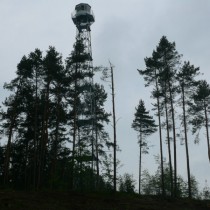 Powiększ zdjęcie 