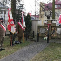 Powiększ zdjęcie 