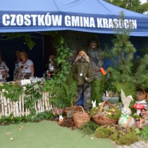 Powiększ zdjęcie 
