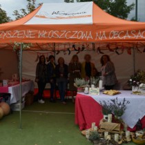 Powiększ zdjęcie 