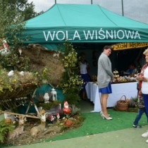 Powiększ zdjęcie 