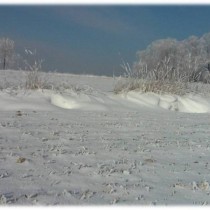 Powiększ zdjęcie Adrian Rak - wyróżnienie (gimnazja)