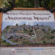 Powiększ zdjęcie 
