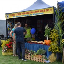 Powiększ zdjęcie 