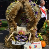 Powiększ zdjęcie 