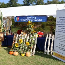 Powiększ zdjęcie Stoisko Powiatu Włoszczowskiego