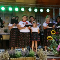 Powiększ zdjęcie Występ KGW 