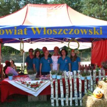 Powiększ zdjęcie 