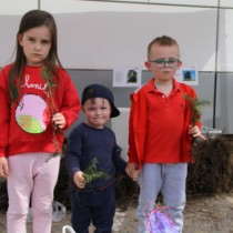 Powiększ zdjęcie Zdjęcie z poprzedniej akcji