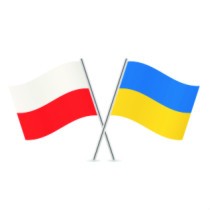 Powiększ zdjęcie 