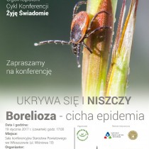 Powiększ zdjęcie 