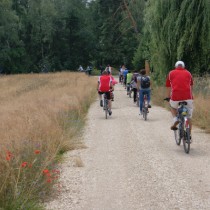 Powiększ zdjęcie 