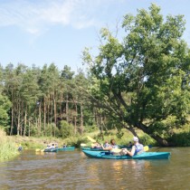 Powiększ zdjęcie 