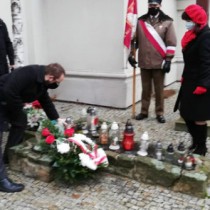 Powiększ zdjęcie 