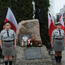 Powiększ zdjęcie 