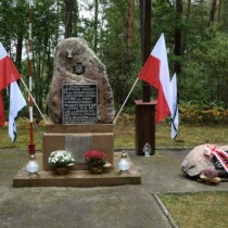 Powiększ zdjęcie 