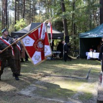 Powiększ zdjęcie Wprowadzenie pocztów sztandarowych