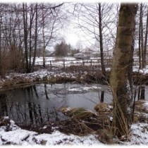Powiększ zdjęcie Wiktoria Judaszewska - wyróżnienie (szkoły podstawowe, klasy 1-3)