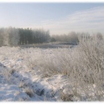 Powiększ zdjęcie Eryk Czyżewski - wyróżnienie (szkoły podstawowe, klasy 4-6)
