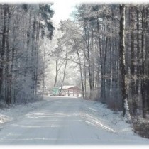 Powiększ zdjęcie Wiktoria Wierzbicka - wyróżnienie (szkoły podstawowe, klasy 4-6)