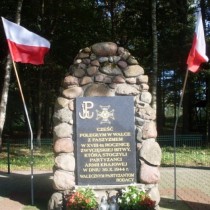 Powiększ zdjęcie 
