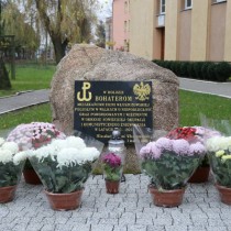 Powiększ zdjęcie 